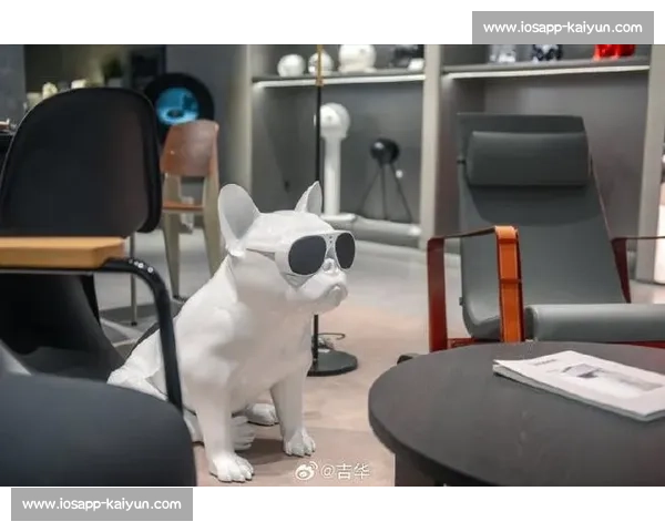 法斗滑板宽窄巷！成都萌宠又添新网红打卡地