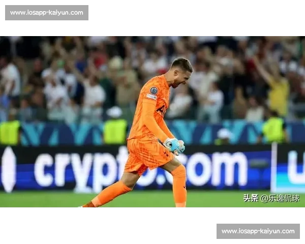 汉堡布鲁日竞逐武什科维奇 热刺新帅弗兰克将评估租借可行性 汉堡布鲁日竞逐武什科维奇 热刺新帅弗兰克将评估租借可行性